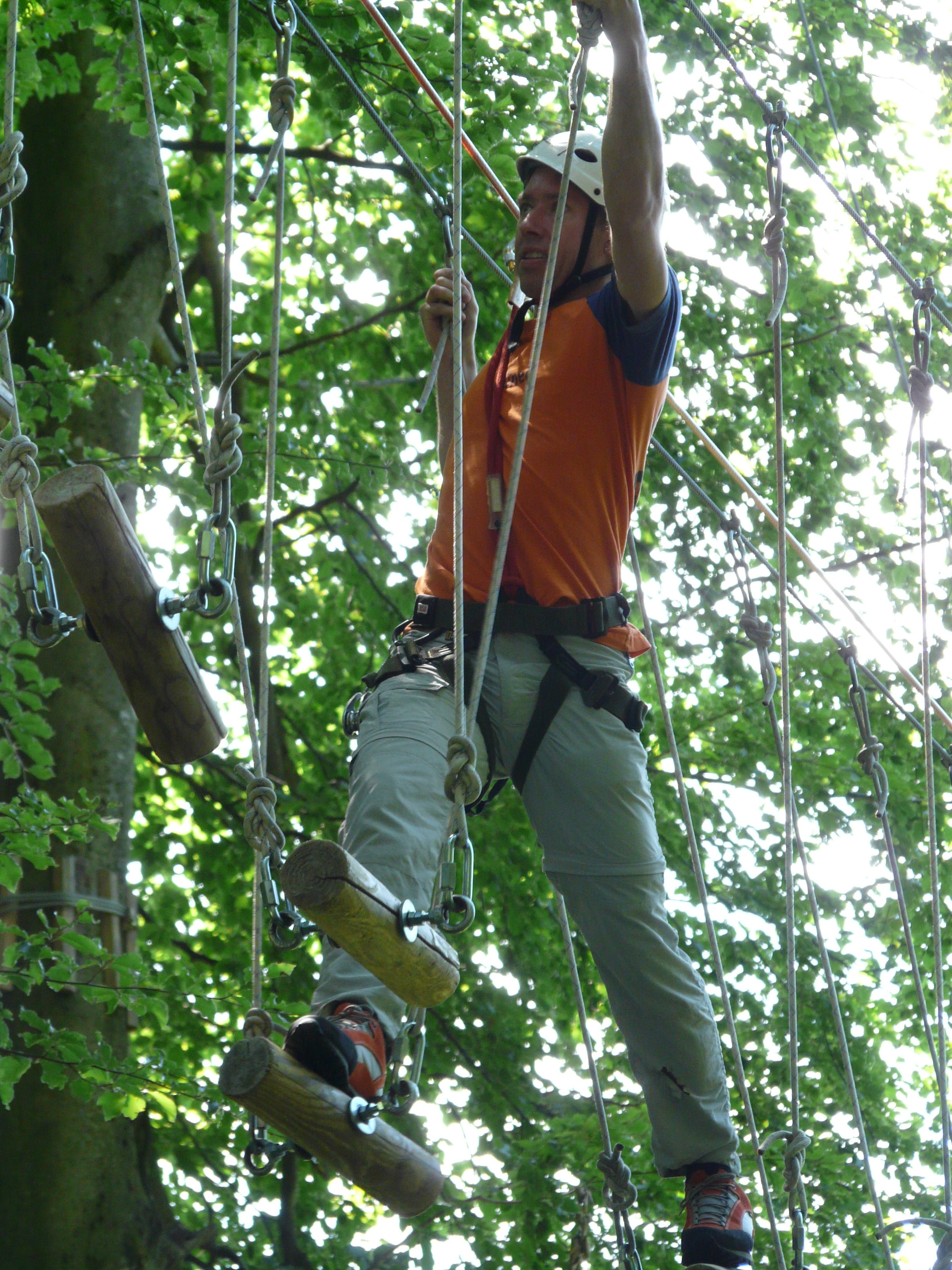 Picture of high ropes course in a forest free image download
