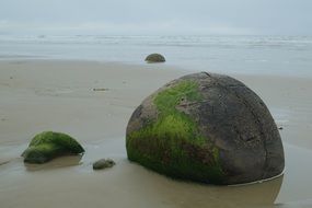 The Moeraki Boulders are unusually large and spherical boulders