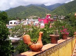 ceramic rooster and flower pots on the veranda in Ajijic