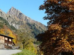 the house and the road at the foot of the Alps among the colorful plants in Germany