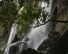 waterfall green branches in front