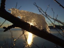 sun bursting through piece of ice on branch at sunset