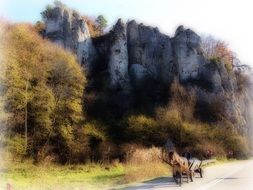 picture of a cart near the rocks