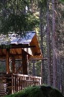 wooden cottage in a wooded area