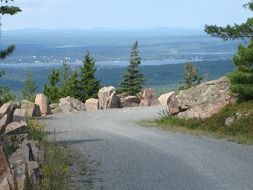 road in Acadia national park