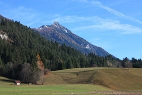 mountains with forest austria landscape