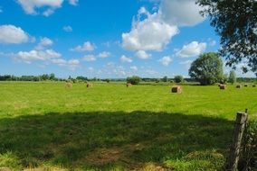 Green field under the blue sky
