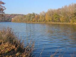 danube river autumn banks, germany, ulm