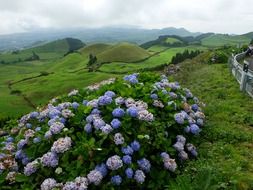 very beautiful sao miguel