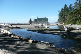 ruby beach shoreline landscape