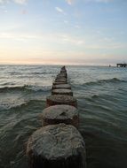 wooden piles in the Baltic Sea