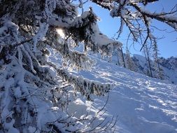 landscape of sunny winter day in the mountains