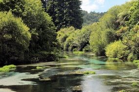 fabulous river landscape