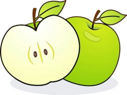 drawing of a green apple half