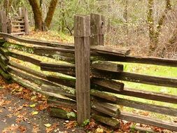 old wooden fence in the forest