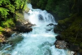 waterfall forest