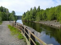 Wooden fences near the river and green forest on a sunny day