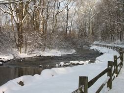 snow trees and the river