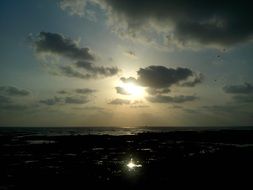 picturesque landscape of the sunset on the beach