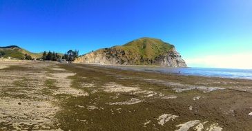 Tropical beach in new zealand