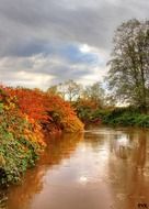 colorful trees at murky river under cloudy sky, autumn landscape