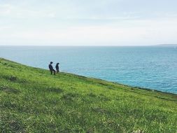 people are walking on a green Grass near the lake