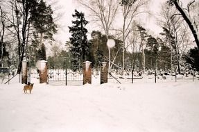 Beautiful cemetery with trees in snow in Poland in winter