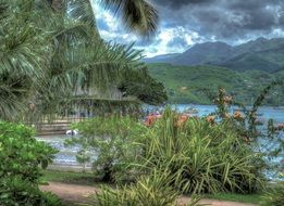 tropical green mountain view