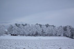 winter in the countryside in sweden