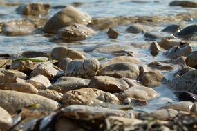 water between stones close up