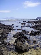 rocky coast of Fuerteventura in Spain