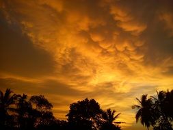 evening nature sunshine