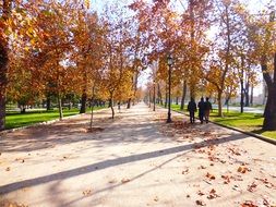 autumnal park