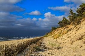 very beautiful landscape of sand beach