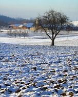 plowed field covered with snow and distant farm, winter countryside