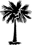 palm tree silhouette drawing