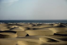 sand dunes on the Pacific