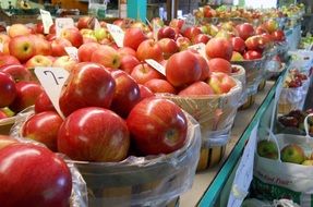 apples in the baskets