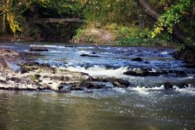 Landscape of the river in nature