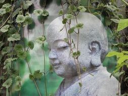 buddha statue in green thickets