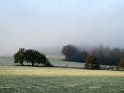 icy nature in the fog