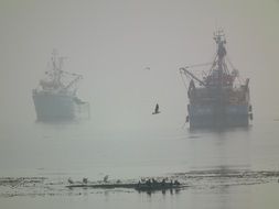 ships on the sea in the fog