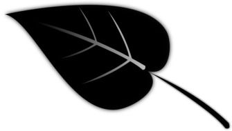 painted black spiky leaf