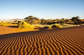 namibia desert sand wolwedans