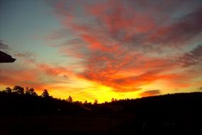 golden sunset over the rainforest