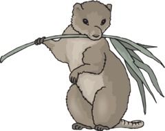 drawing of an animal eating leaf