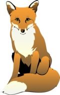 drawing of a red fox on a white background