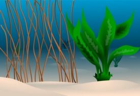 clipart of green plant in the underwater world