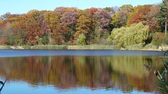 Beautiful, colorful and peaceful lake among the colorful plants in autumn