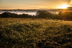 foggy sunrise fog on lake ammer